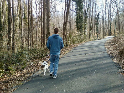 Caminar en la naturaleza previene y cura la depresión 19361942088_9887d1fe65_z