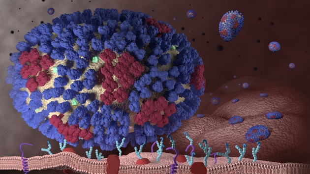 Un mortífero virus creado en un laboratorio chino amenaza a la humanidad   19857e4d55a21a79713e725045cbc029_article