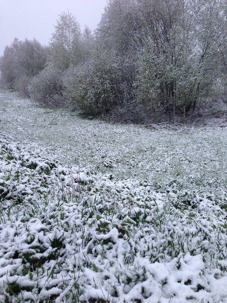 Vecinos de una ciudad rusa, sorprendidos por una nevada en verano 1f19c562b7f834441340d548cce8306a