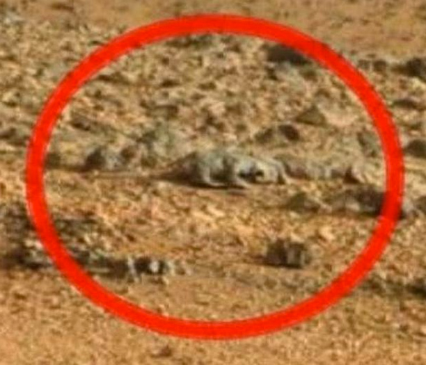El robot Curiosity descubre un 'lagarto' en Marte 9f50e62d9e4834af43e1a8ccff335e18