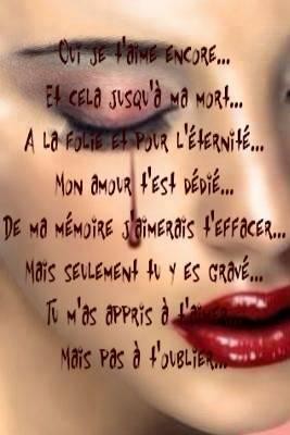 Belles phrases ... - Page 18 Jetaimeraitj