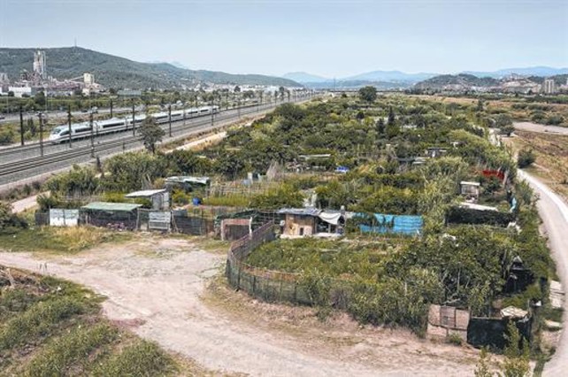 Los huertos ilegales proliferan en los campos del Baix Llobregat Ave-pasa-junto-los-huertos-ilegales-instalados-junto-rio-julio-1436632619366