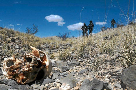 MÉXICO | Más de 25.000 desaparecidos / Sin identificar unos 15.000 muertos por la violencia. 1357143969_0