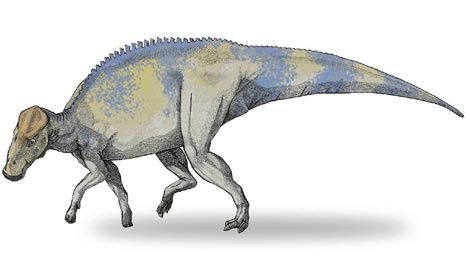 DESCUBREN PROTEINAS EN FÓSILES DE UN DINOSAURIO 1241108575_0