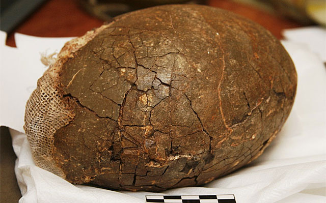 Misterioso hallazgo en Lanzarote de un antepasado del avestruz 1377368733_0