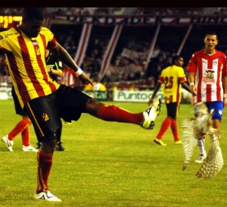 Sancionan con dos partidos al jugador que mató a la lechuza en el fútbol colombiano 1299092280_0