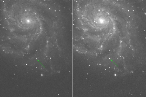 Descubren Supernova cercana a la Tierra 1314362163_0