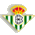 Mercado de Fichajes Liga Adelante. Betis