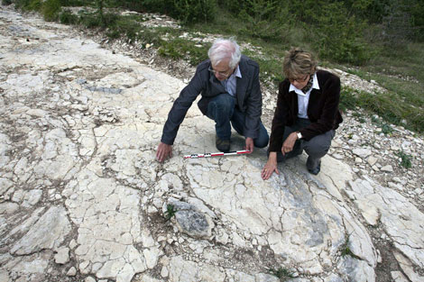 Descubren en Francia las huellas de dinosaurio más grandes de Europa 1254849453_0