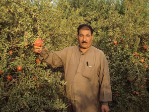 رمان "السوسة"...محلي - دولي 104097_2009_10_24_13_00_13