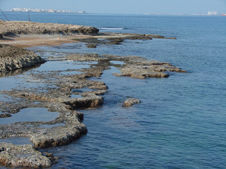 جزيرة العباس 125410_2011_02_02_09_09_05.image7