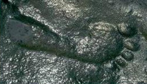 Nouveau-Mexique : des empreintes humaines vieilles de 290 millions d’années Fossile-impossible-humain-500x287