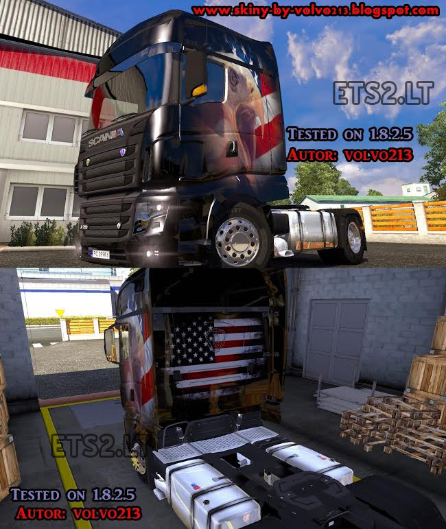 Skins Scania-american