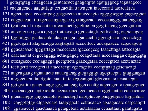 The algorithmic origins of life Ijms-10-00247f3