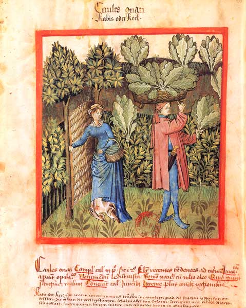 [Enluminures] Les cueillettes 035