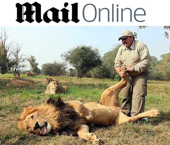 Leão ganha massagem no pé em parque na África e vira 'gatinho' 10160153