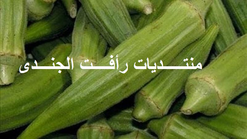   منقوع الباميا يخلصك من مرض السكر نهائيًا P_2536rpx1