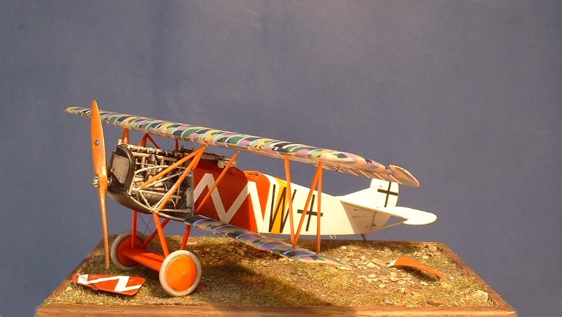 Fokker DVII Roden 1/48éme D71