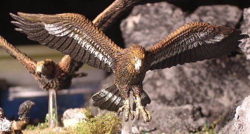 [Fyndhorn Elder]Radagast et ses aigles Radaaigles03c