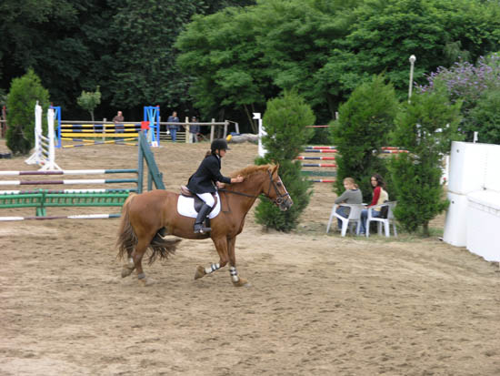 Les Chevaux et Poneys a vendre Epreuve-6_012