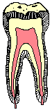    Toothsm