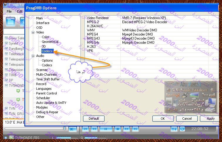 ضبط الكوديك على Prog dvb  42405568872252846329