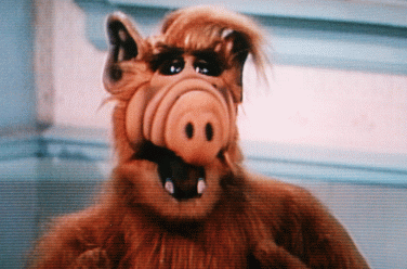 Half... Alf