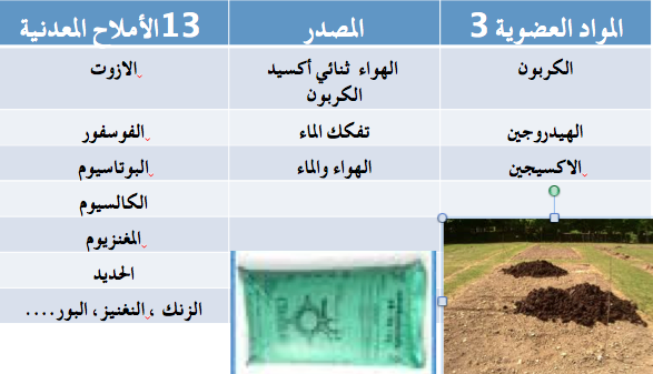 تخصيب و معالجة أشجار التين Capture-d%E2%80%99%C3%A9cran-2015-05-15-%C3%A0-12.12.49