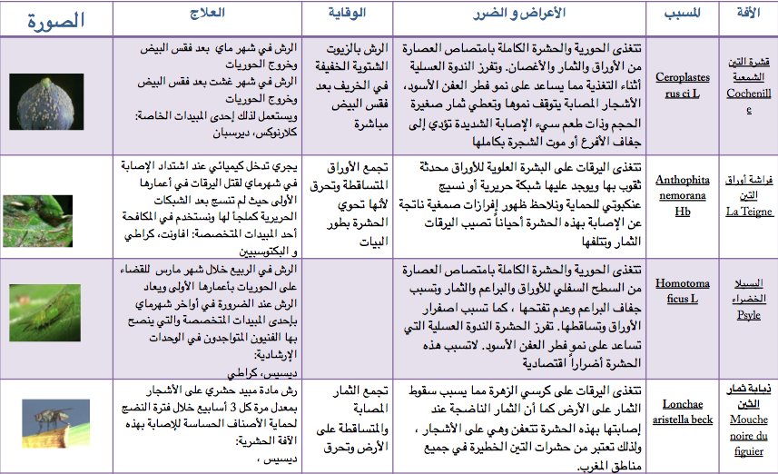 تخصيب و معالجة أشجار التين Capture-d%E2%80%99%C3%A9cran-2015-05-15-%C3%A0-12.44.10