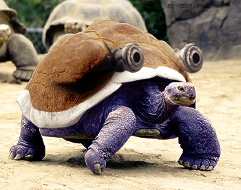 Pokemon στην πραγματική ζωη !! Real_blastoise__by_michaelschumacher5