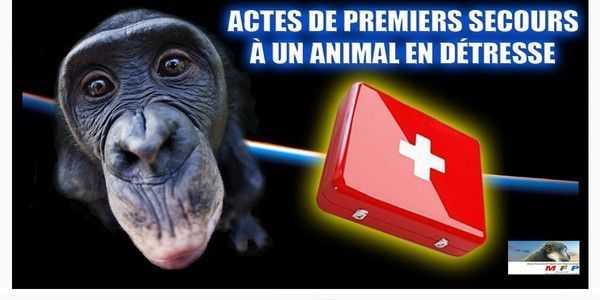 Animaux les maladies habitudes de vie.... 9ed9cd46