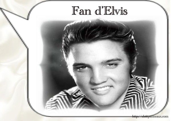 Elvis Presley (photos)+ autres A882c2b2