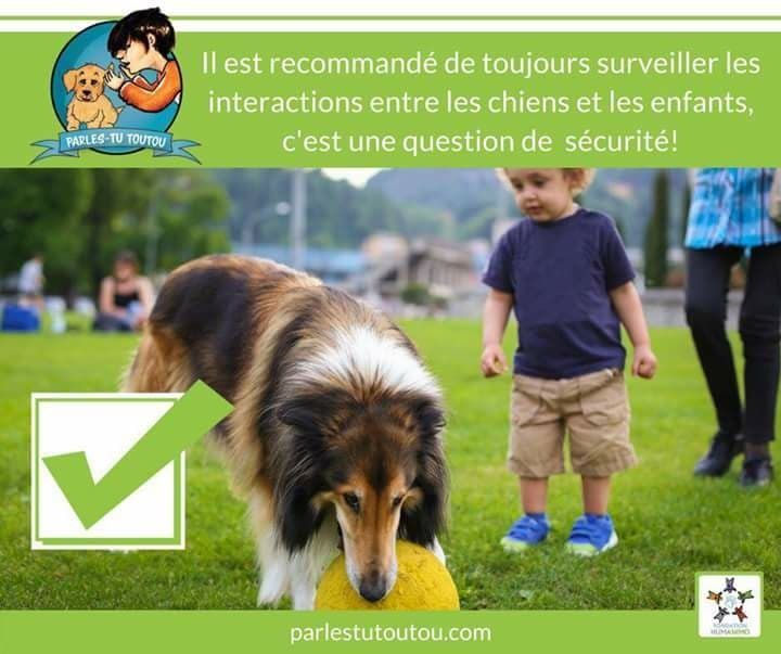 animaux - LES ANIMAUX DISPARUS  +  autres articles quand je trouve??? 43998486