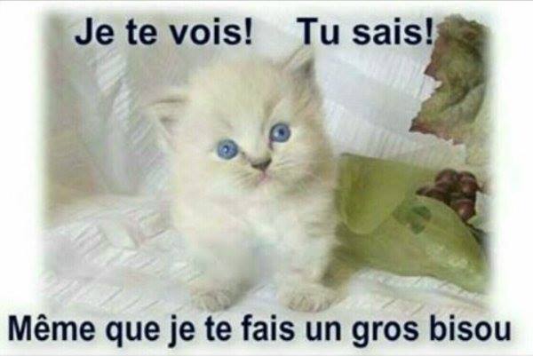 bisous et calins...... 495935b6