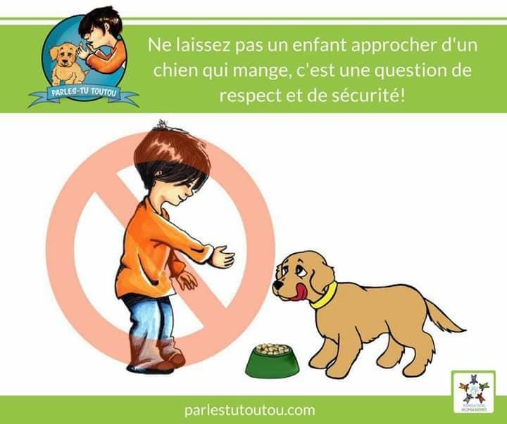 LES ANIMAUX DISPARUS  +  autres articles quand je trouve??? A7d2f957