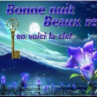 bonne fetes + bonne nuit...... B31b7437