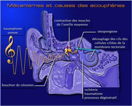 trou géant en Antarctique  + autres sujets,un peu de tout??? E6fba2bf