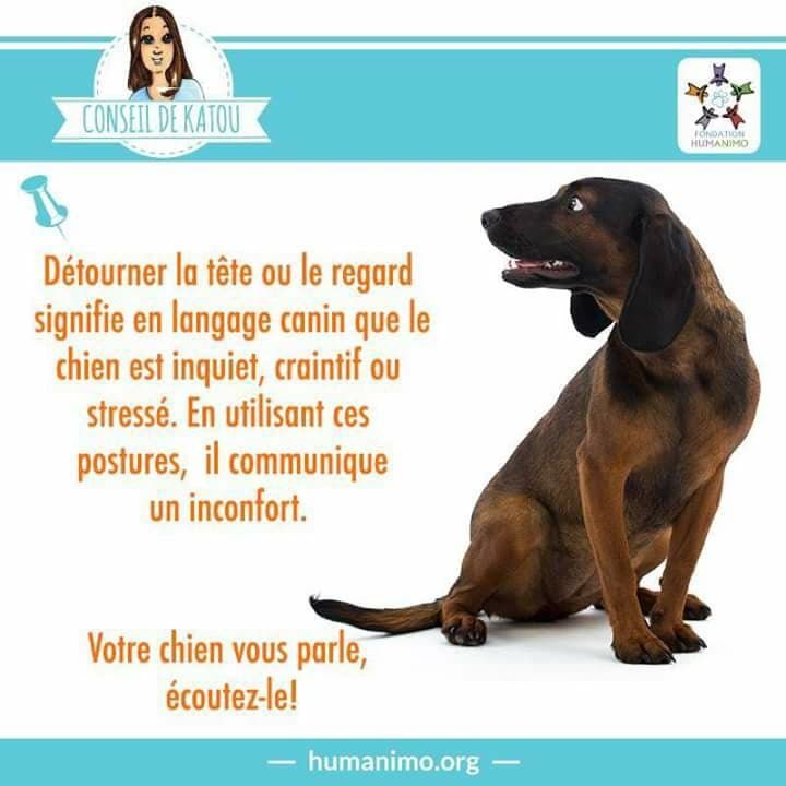 LES ANIMAUX DISPARUS  +  autres articles quand je trouve??? Fe423892