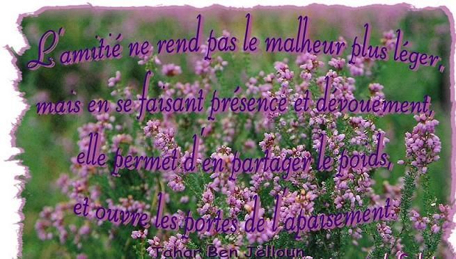 Autres petites citations Qagpequy