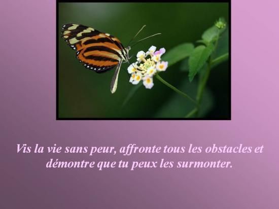 Nouvelles petites citations Qsttzl52