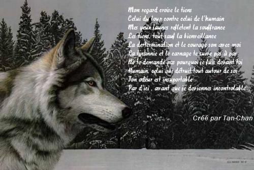 Jean - "Le chat et le renard" Jean de La Fontaine+"Combien de paysans." Christian Collin X8martra