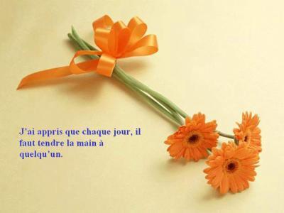 Autres petites citations Xverq7d7