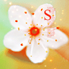      Msn..    .. -  4 Flower71
