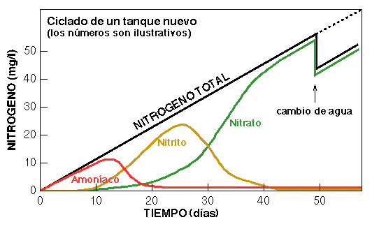 Novata: Mi primer Acuario de 70 L Ciclo-n