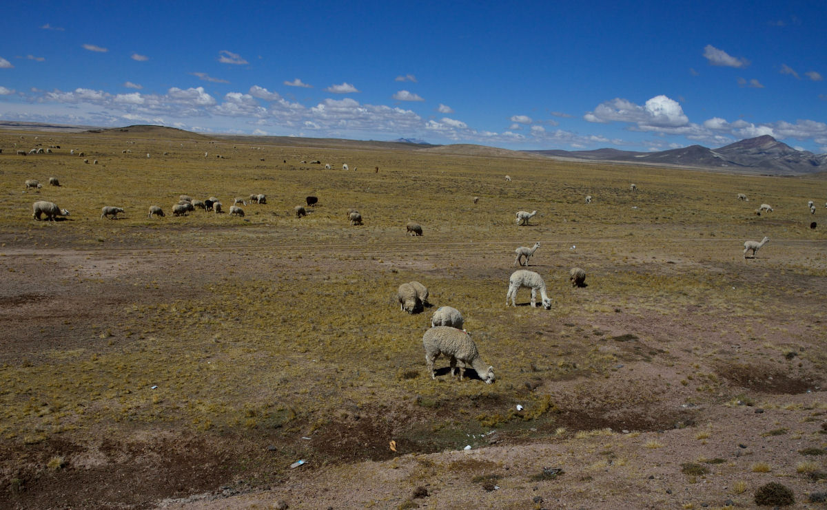 Un petit tour chez l'Inca - Page 2 8