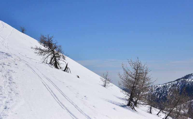 Pourtant, que la montagne est belle... 6439