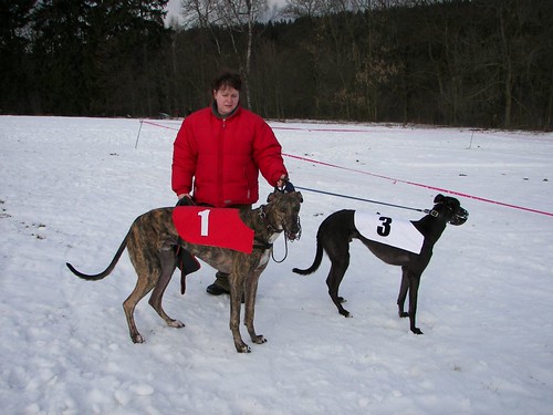 LURE COURSING(dobra strana utrka) 397538899_c050836952