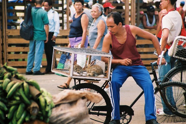 ¿COMO "RESUELVEN" LOS CUBANOS PARA COMER"? 423020375_0d593e8e13_o