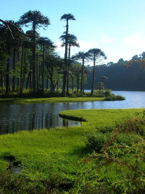 Región de la Araucania [Chile] 80798984_634766c6d5_z