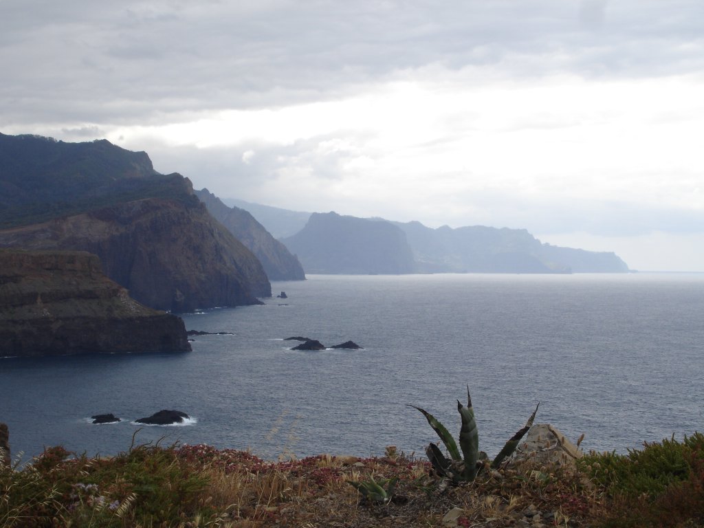 Madeira Island Ultra Trail - Le trail plus belle du Monde 144739985_af31aed2ac_o